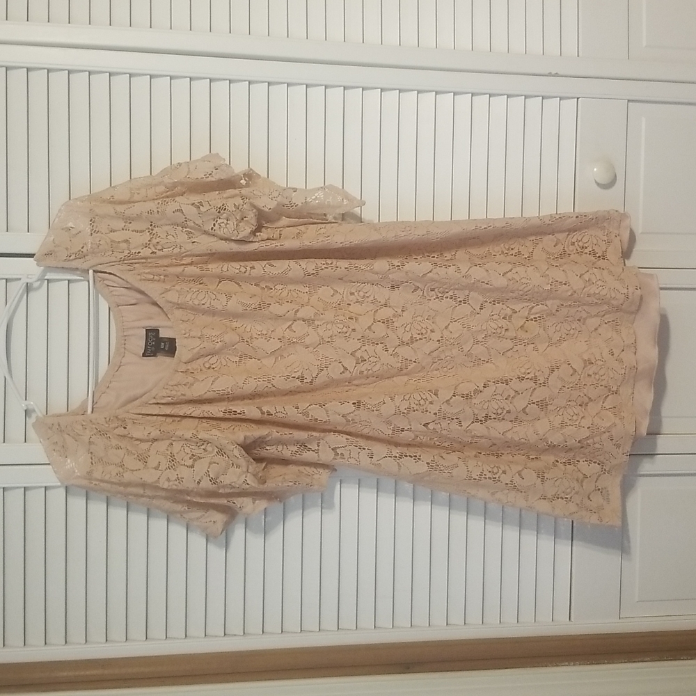 Enfocus Women Nude/baby Pink Lacey Dress 18W